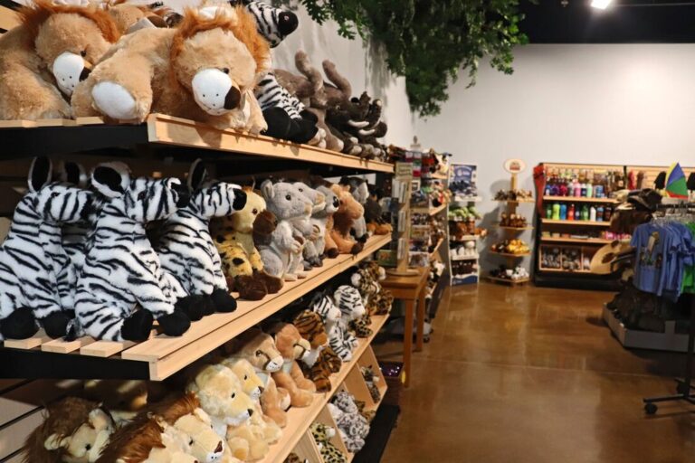 img 4252 resized orig 768x512