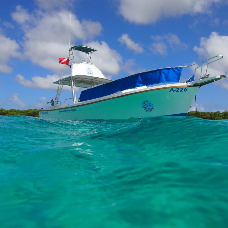 our drumfish has space 768x768