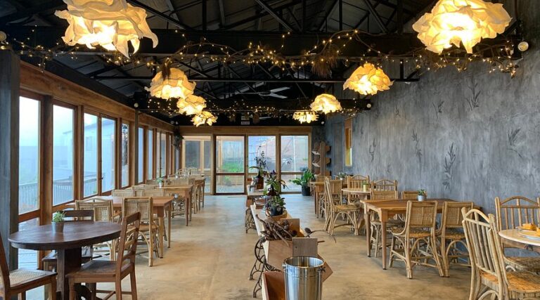 the cozy ambiance of 768x427